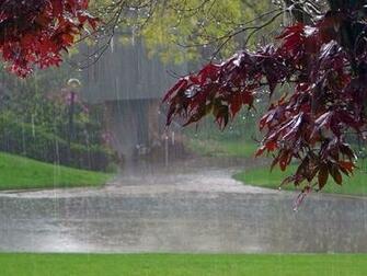 You Are Ing Right Now The Image Most Beautiful Rain Wallpaper