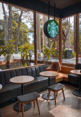 Starbucks Wallpaper HD Hq