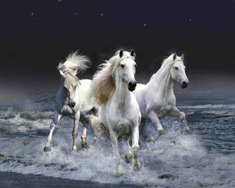 Running Horses Wallpaper Screensavers Animals