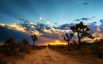 Mojave Desert North America Wallpaper HD 4k Windows