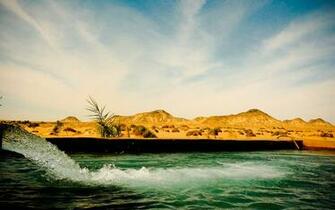 Desert Oasis Western Sahara HD Wallpaper