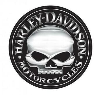 Harley Davidson Extra Large Skull Vinyl Trailer Decal Cg4331