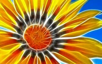 Sunflower Wallpaper And Image Pictures Photos
