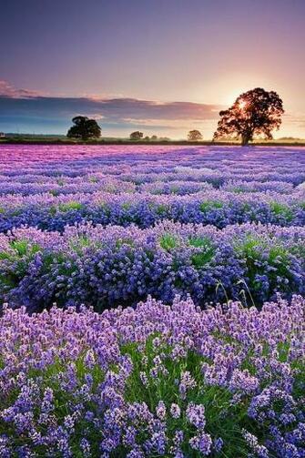 Beautiful Scenery Phone Wallpaper The Most Stunning Shots Of Nature