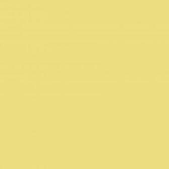 Buff Solid Color Background