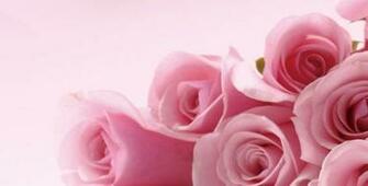 Girly iPhone Wallpaper Beautiful By HD Swcrown