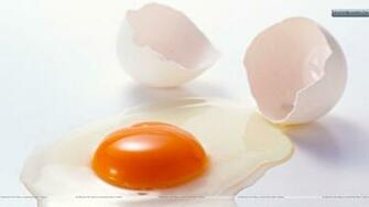 Egg Wallpaper HD Background Image Pics Photos