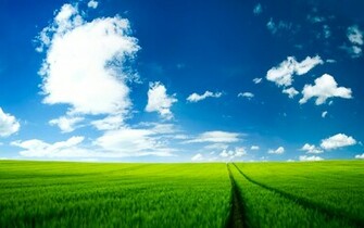 Summer Scenery Wallpaper HD