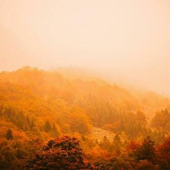 Fog Autumn Forest Mountain 5k Apple iPad Air