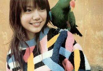 Hot Beautiful Babes Aoi Miyazaki Exclusive Wallpaper