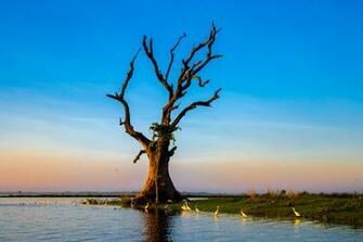 Pictures 4k 5k Wallpaper Imac Retina