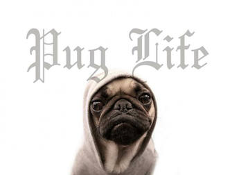 Image Funny Pug Wallpaper Cartoon