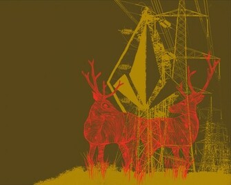 Best Wallpaper