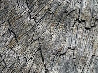 Ingrain Concentric Background Log Brown Click To A Larger Image