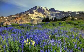 Nature Wallpaper HD Landscape