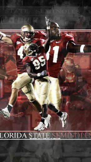 Florida State Seminoles Football Wallpaper For iPhone