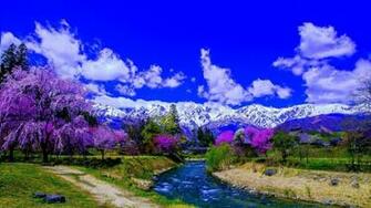 Purple Trees Alone The River And Snow Covered Mountain