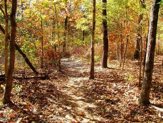 Fall Scenery Wallpaper Photos