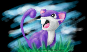 Rattata By Transawex