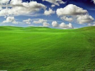 Green Field Wallpaper Open Walls