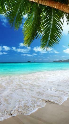 Beach iPhone Background Net