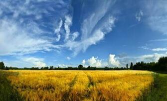 Amazing Nature HD Wallpaper 1080p