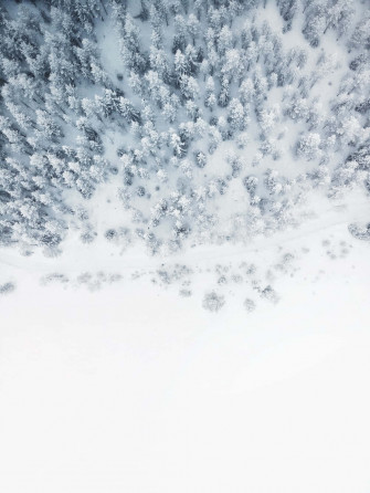 Winter S Gift Of Beauty Wallpaper