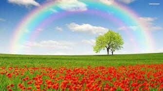 Arcobaleno HD Wallpaper Sfondo Id