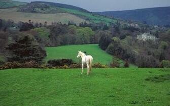 Happy St Patrick S Day Five Points A Journal Of Literature