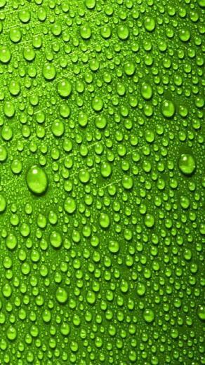 Green Water Droplets Windows Phone Wallpaper