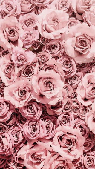 Android Aesthetic Wallpaper