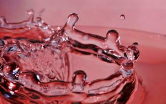 Water Drop HD Wallpaper Background Image Id