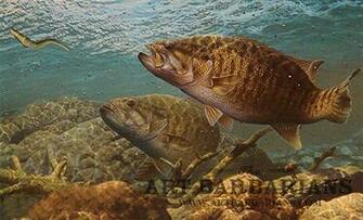 Smallmouth Bass Jumping Ganging Up