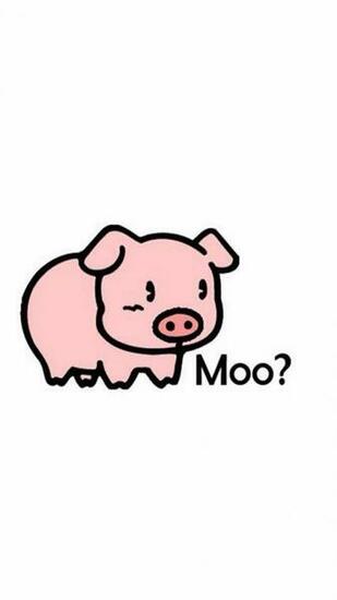 Pig Wallpaper iPhone