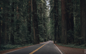 Wallpaper Of The Month California Summer