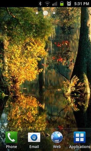 Bigger Bing Live Wallpaper Donate For Android Screenshot