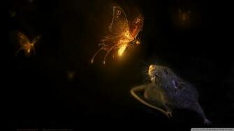 Firefly Wallpaper