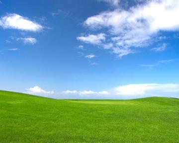 Best Meadow Wallpaper Spring