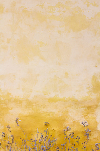 Pastel Yellow Aesthetic Wallpaper