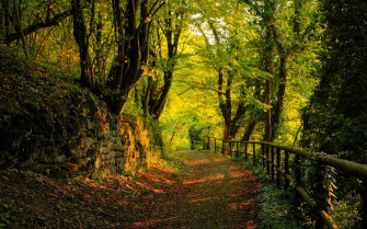 Country Scenery Wallpaper