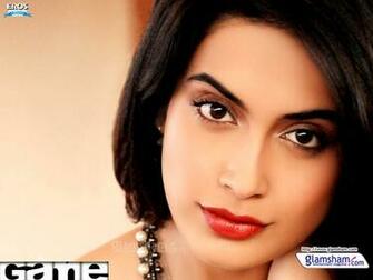 Sarah Jane Dias Wallpaper