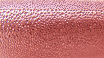 Water Drops On Pink Surface Wallpaper