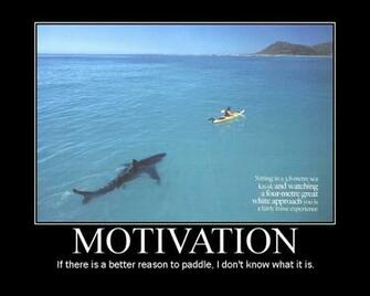 How About This Shark Swimming Behind You