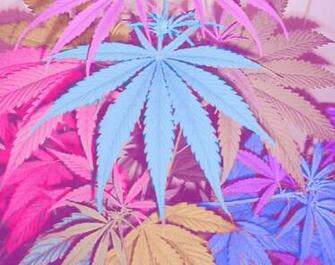 Pot Leafs On