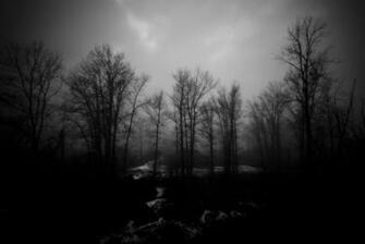 Haunted Forest Wallpaper Image Pictures Becuo