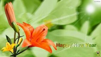 Happy New Year Flowers Gifts Wishes Wallpaper