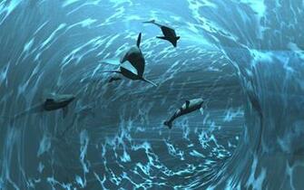 Dolphin Computer Wallpaper Desktop Background Id