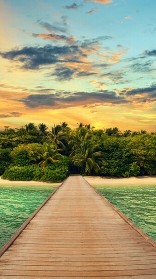 Summer Vacation iPhone Plus And Wallpaper