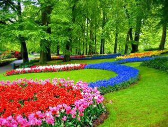 Keukenhof Gardens Wallpaper