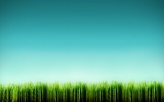 Sky Grass Cool Background